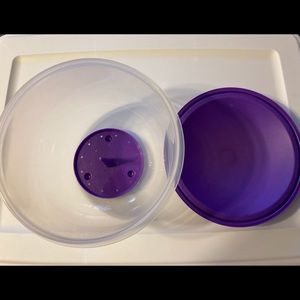 Tupperware lettuce keeper